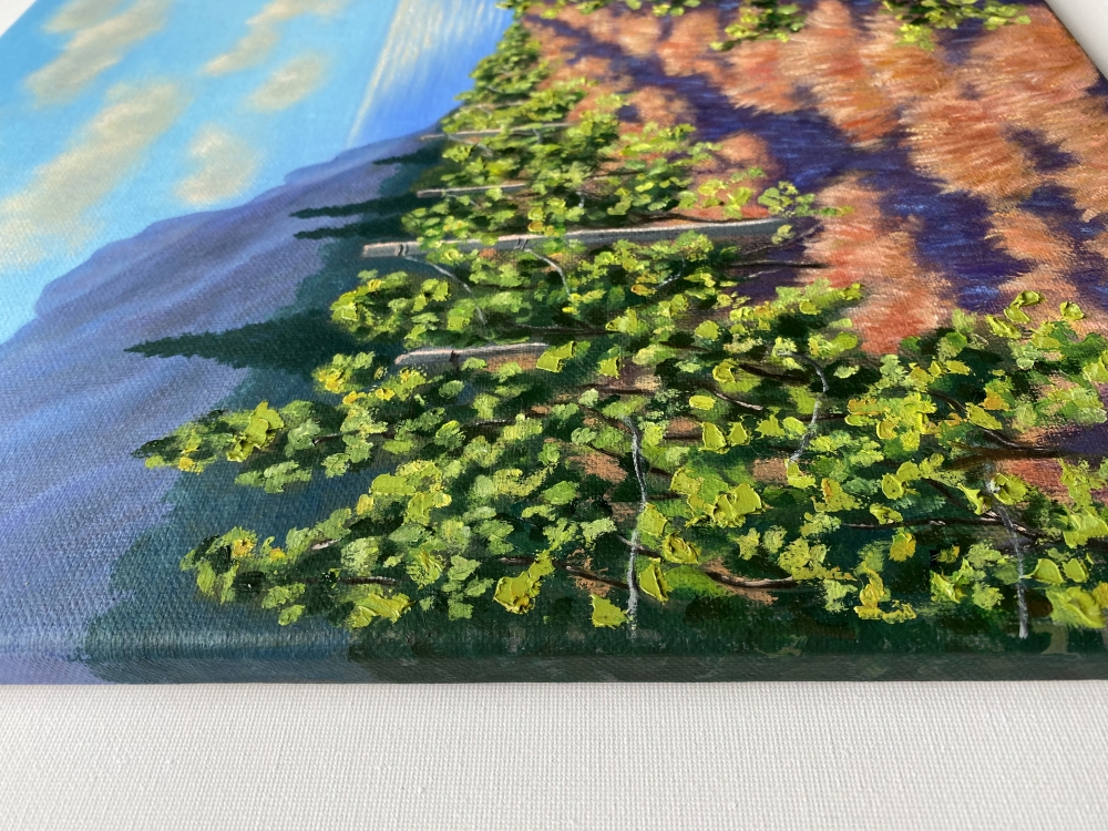 “Vineyard”