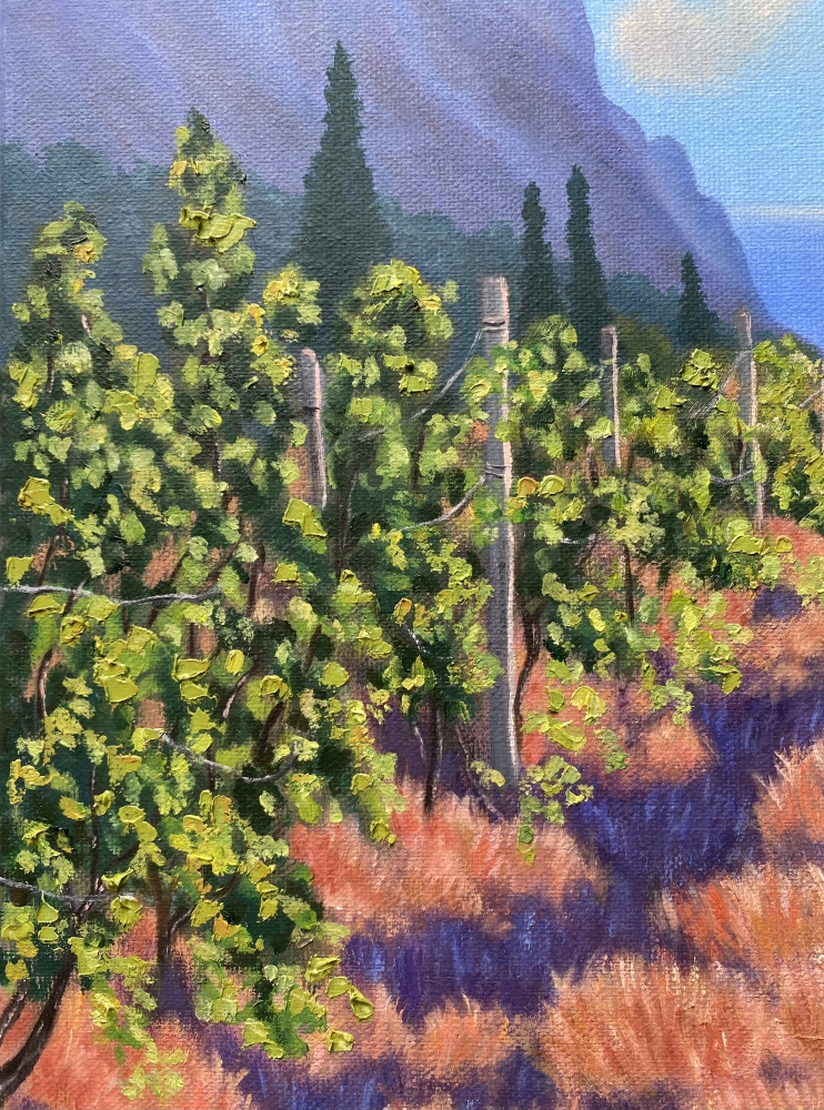 “Vineyard”