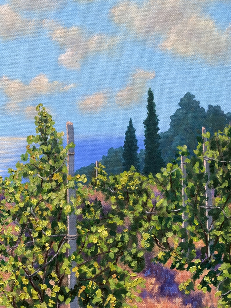 “Vineyard”