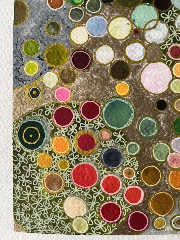 Seeds of colour