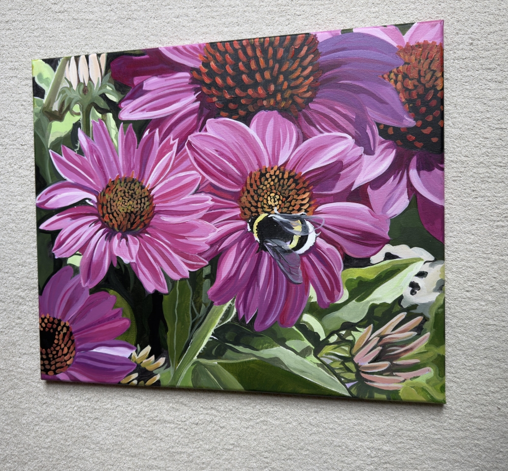 Echincea And Bumble Bee
