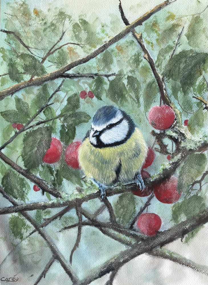 A Blue Tit Among the Cherries