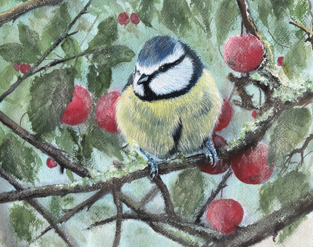 A Blue Tit Among the Cherries