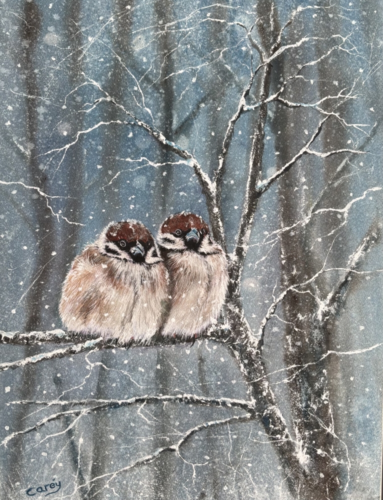 Sparrows in Winter