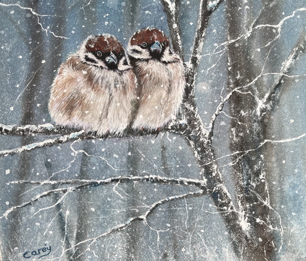 Sparrows in Winter