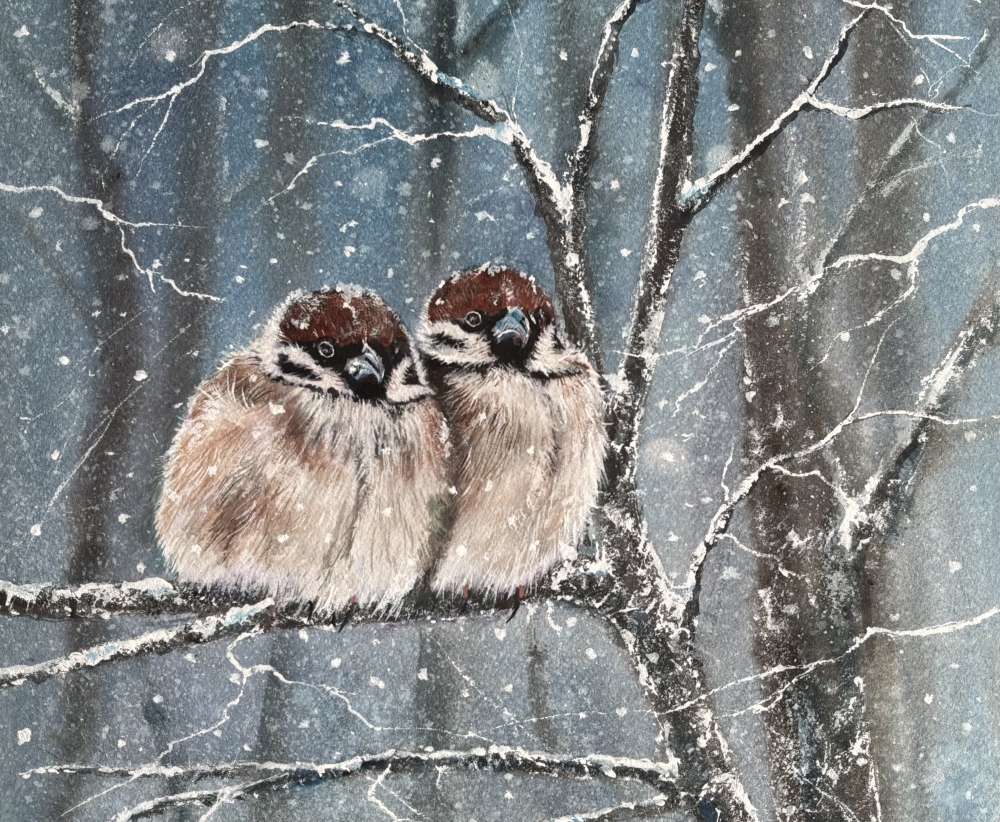 Sparrows in Winter