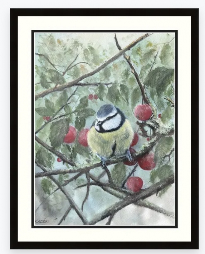 A Blue Tit Among the Cherries