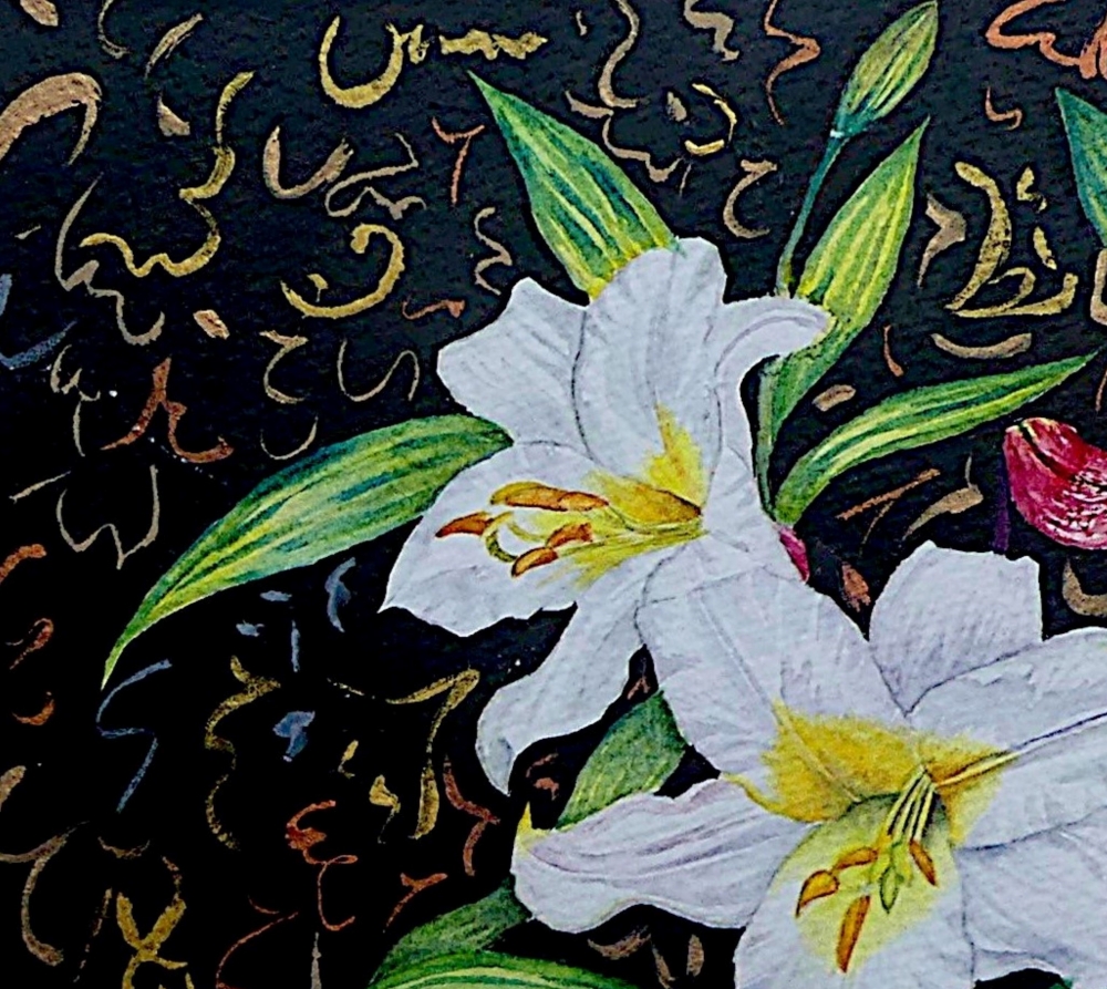 Lilies of the Night