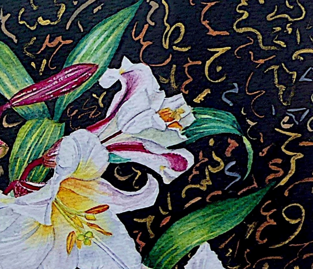 Lilies of the Night