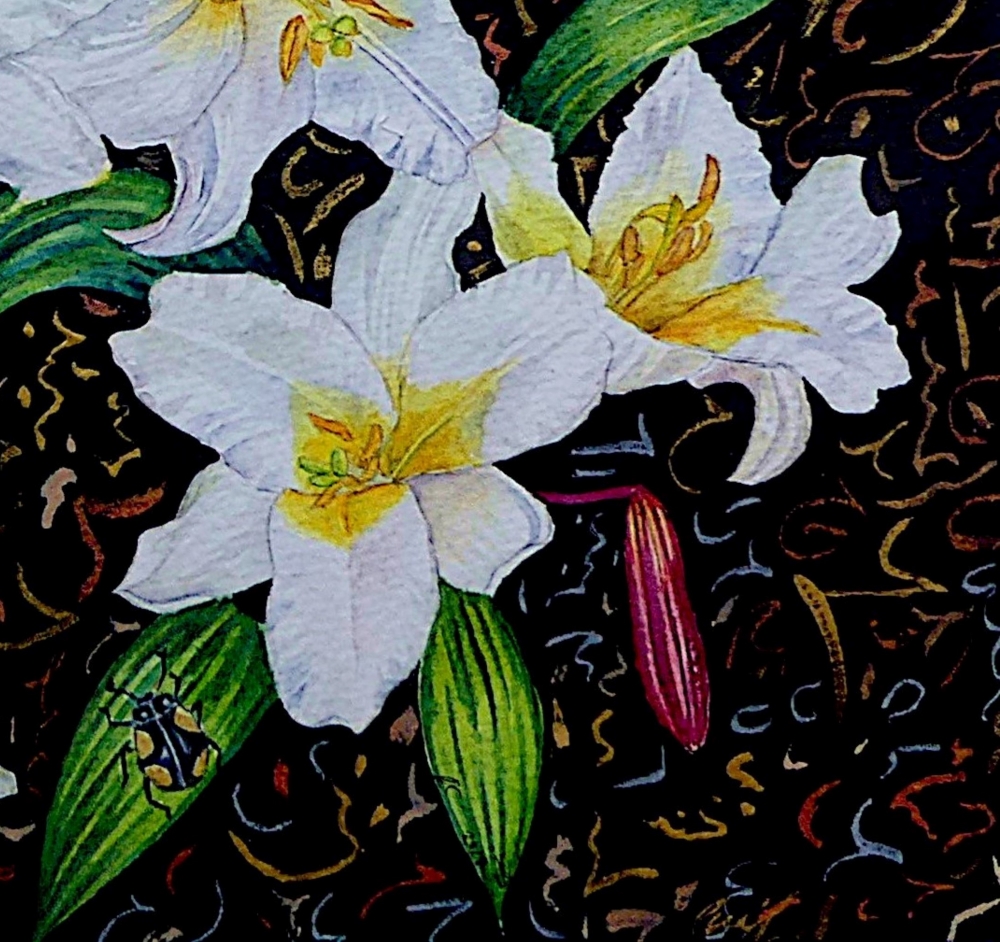 Lilies of the Night
