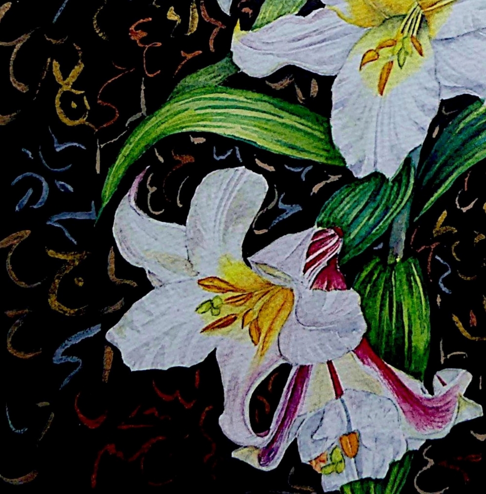 Lilies of the Night