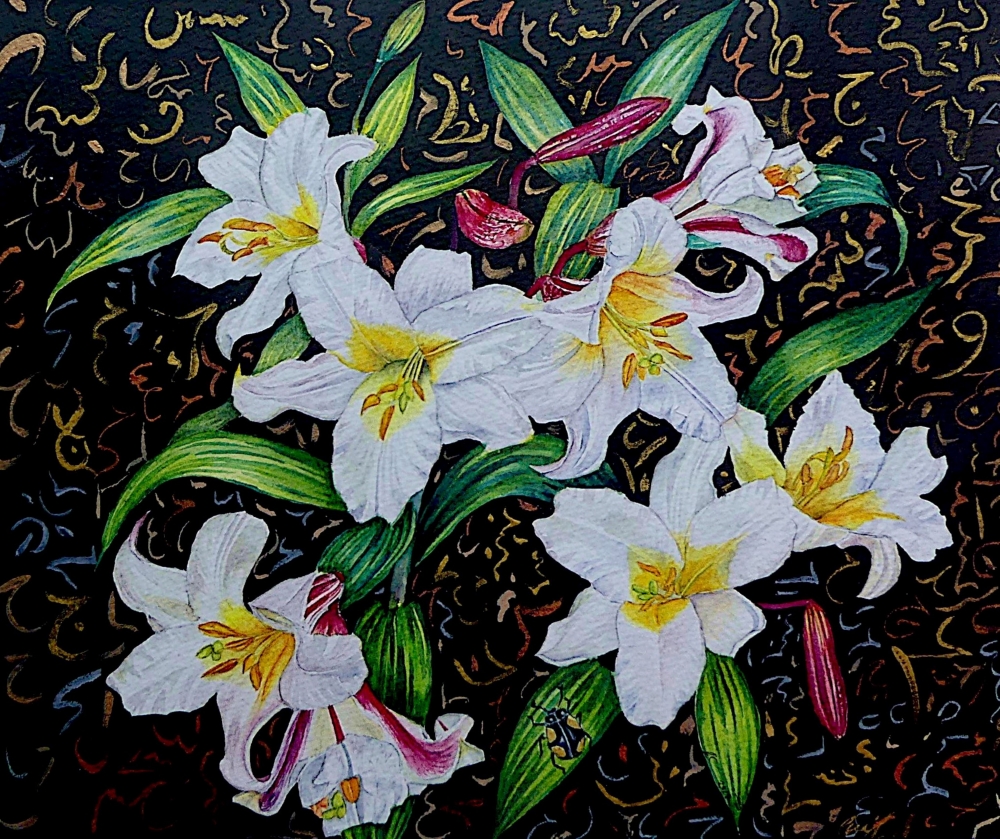 Lilies of the Night