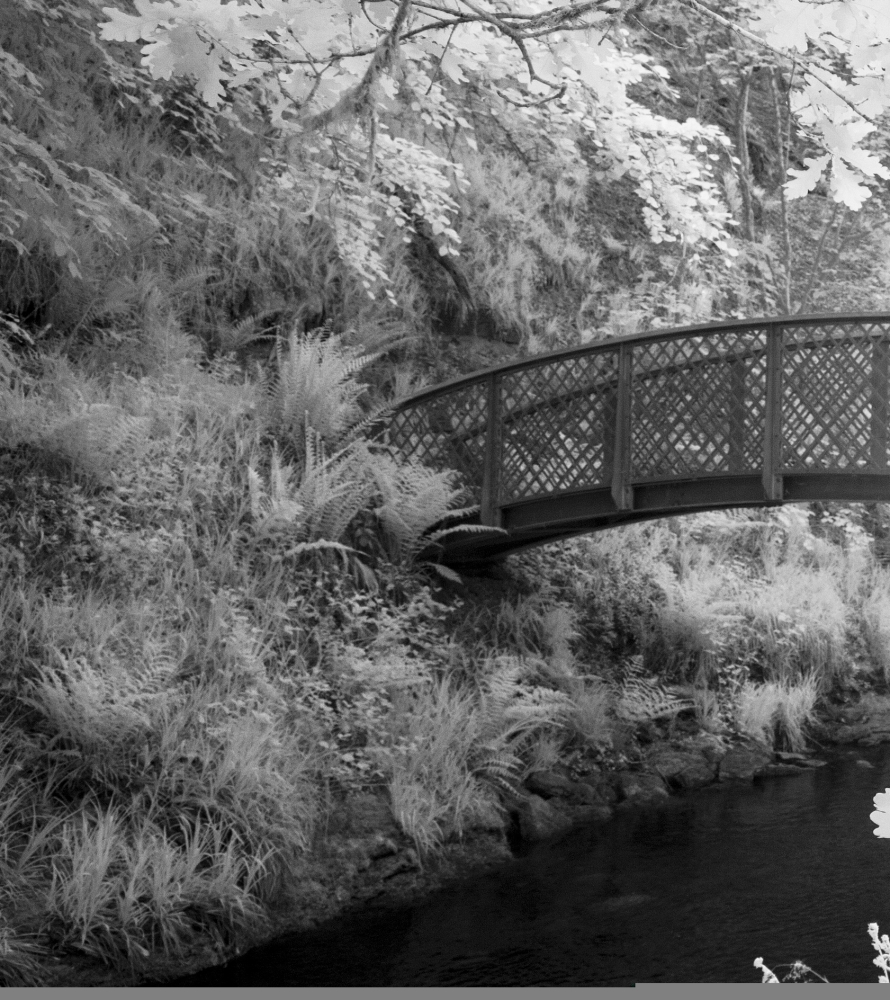Invisible Light: A Bridge Between Worlds