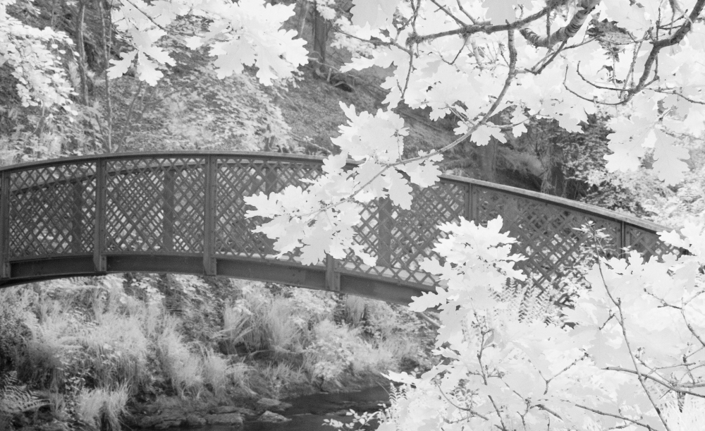Invisible Light: A Bridge Between Worlds