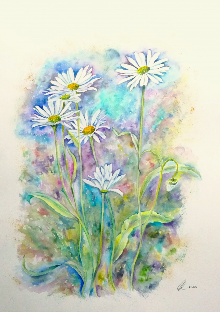Love me Daisies