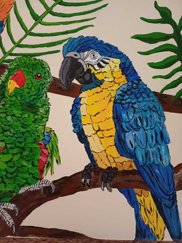 Parrots