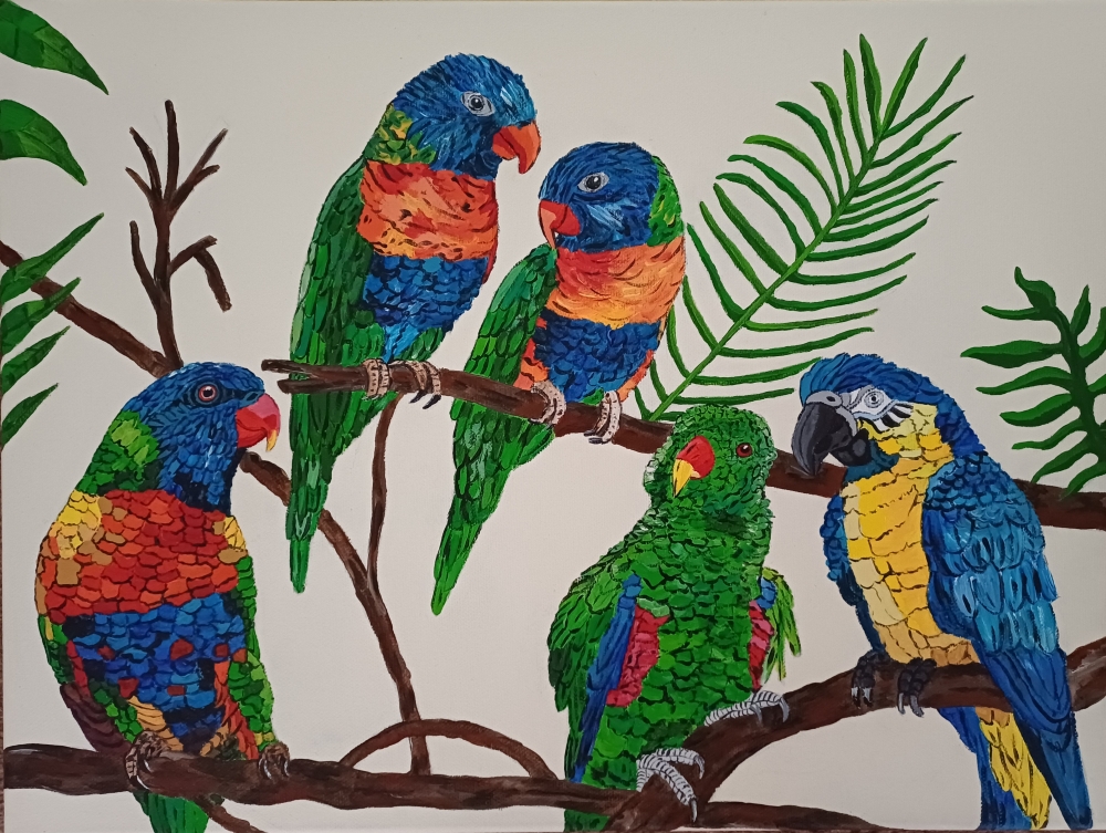 Parrots