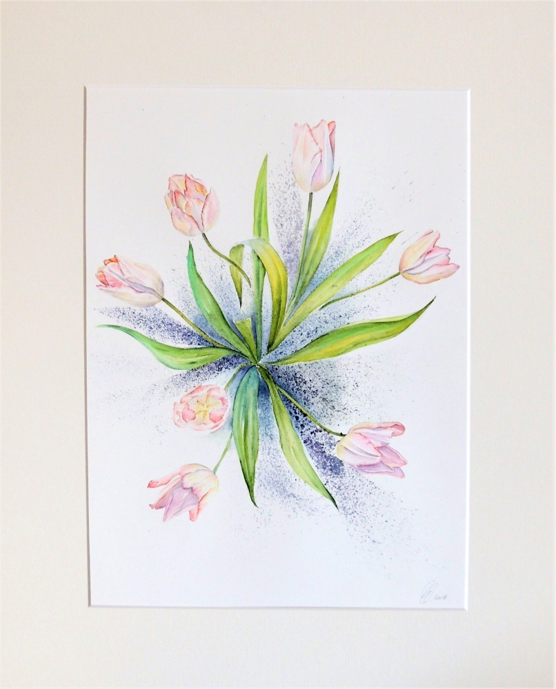 Blush Tulips