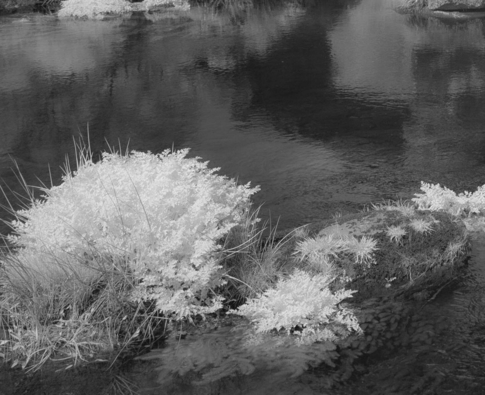 Invisible Light: Echoes of Dartmoor 3