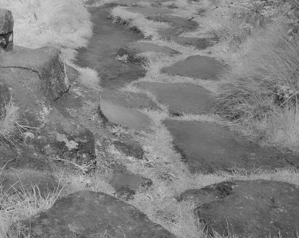 Invisible Light: Echoes of Dartmoor 5 (Postbridge)