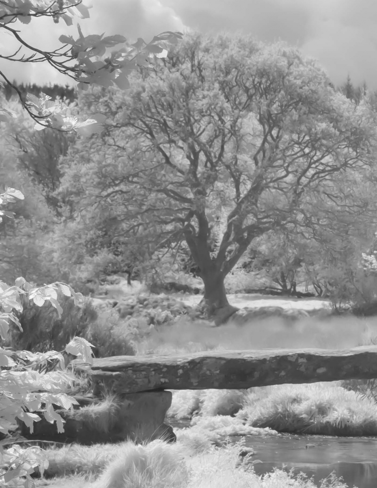 Invisible Light: Echoes of Dartmoor 4