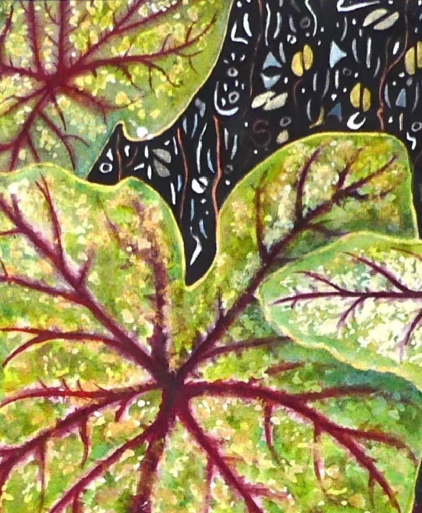 The Language of Leaves