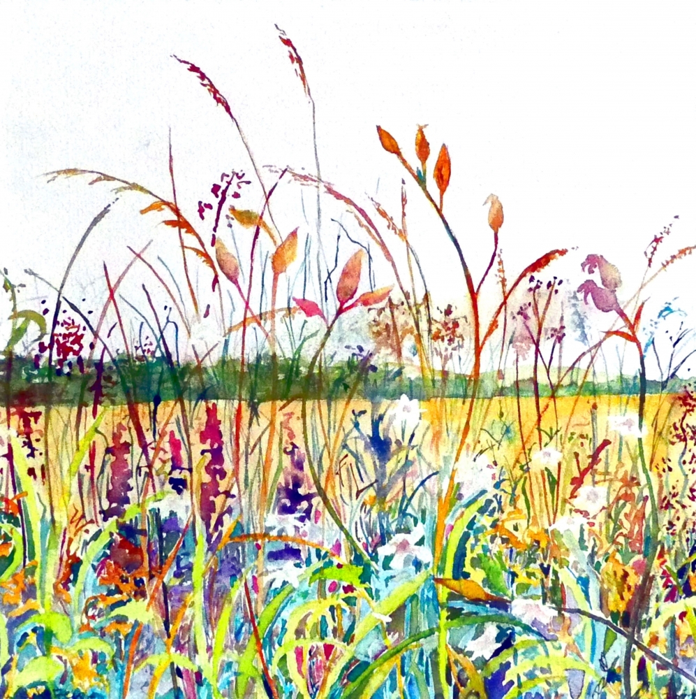 Fen Field Flowers