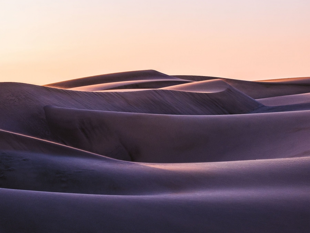 Sandrise