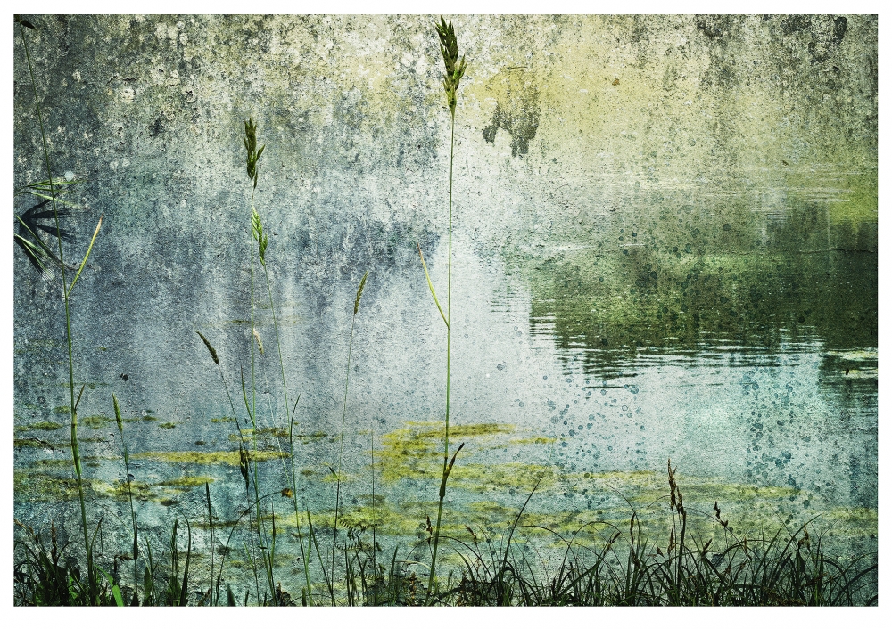 MISTY LAKE 01, SURFACE
