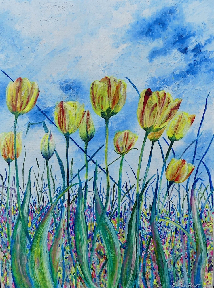 Skyward Tulips