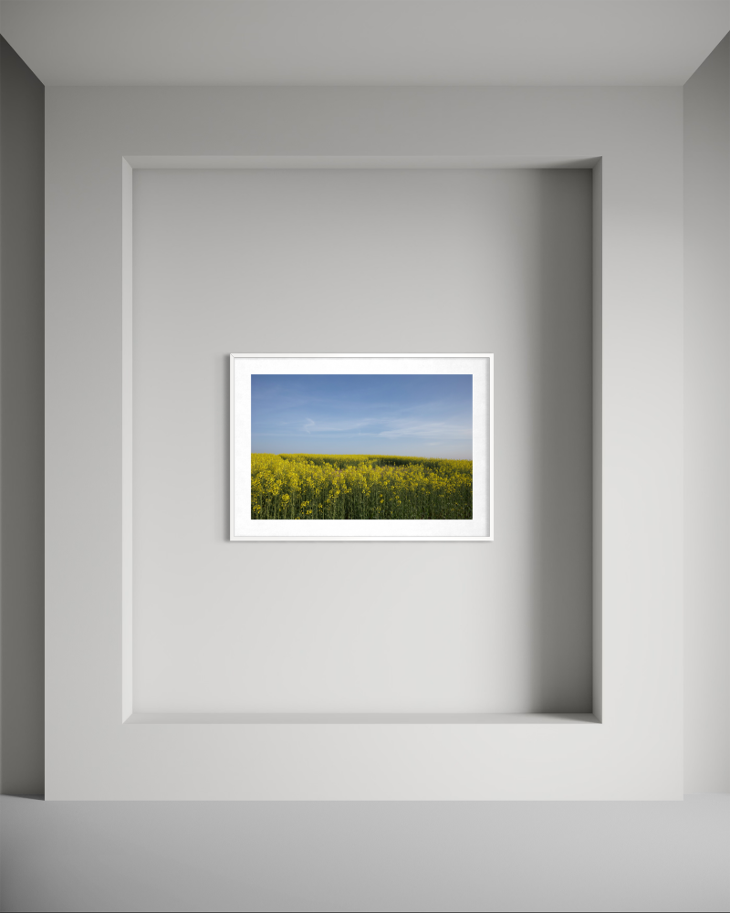 A Field Beneath the Infinite