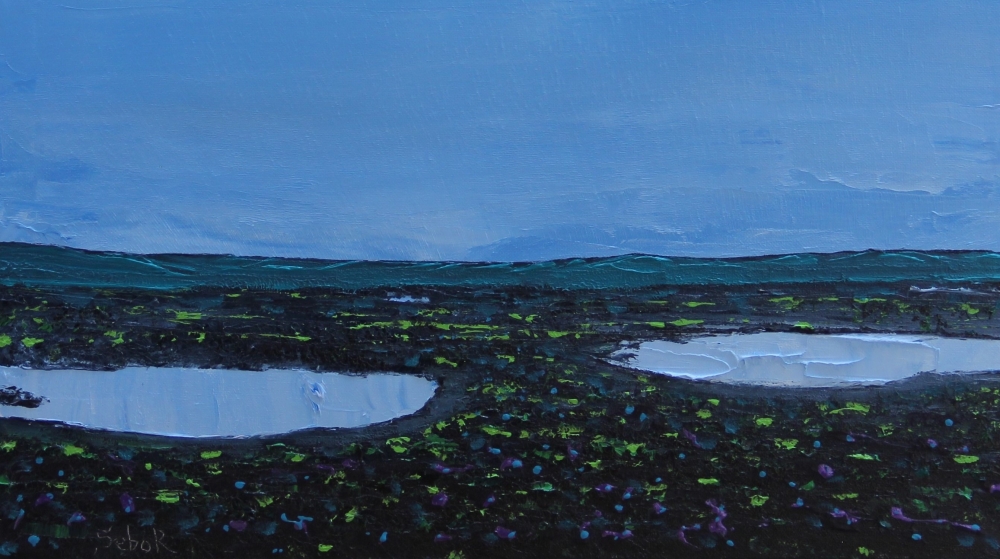 Snowdrops