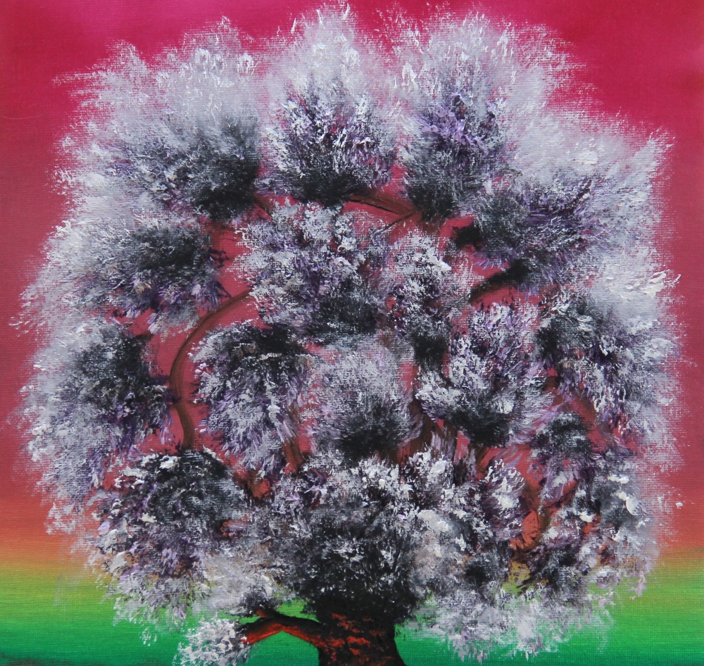Spider Tree