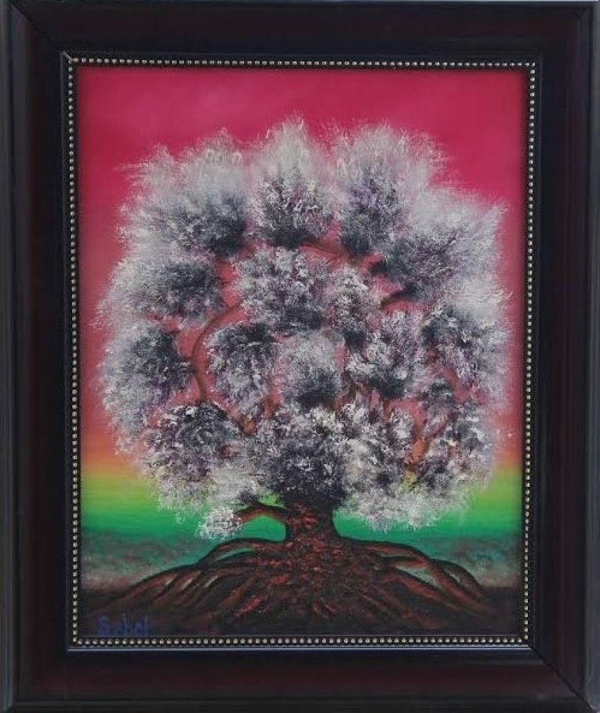 Spider Tree