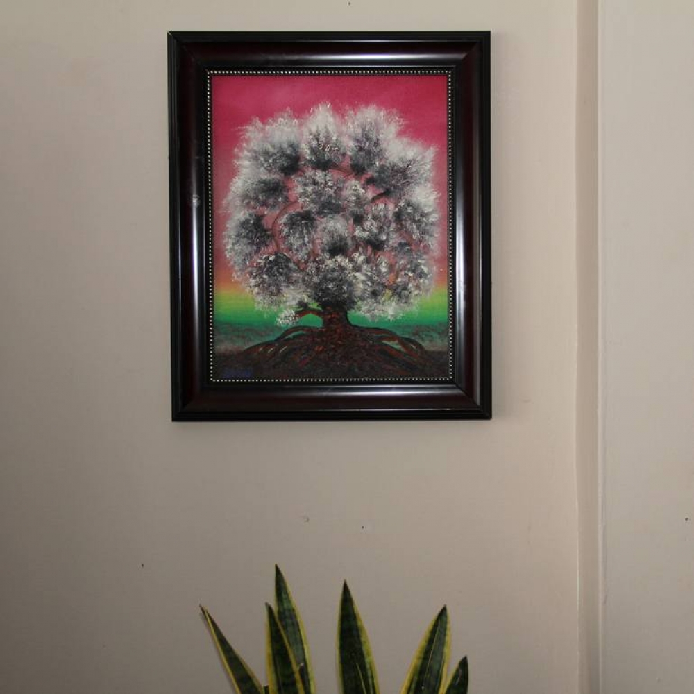 Spider Tree