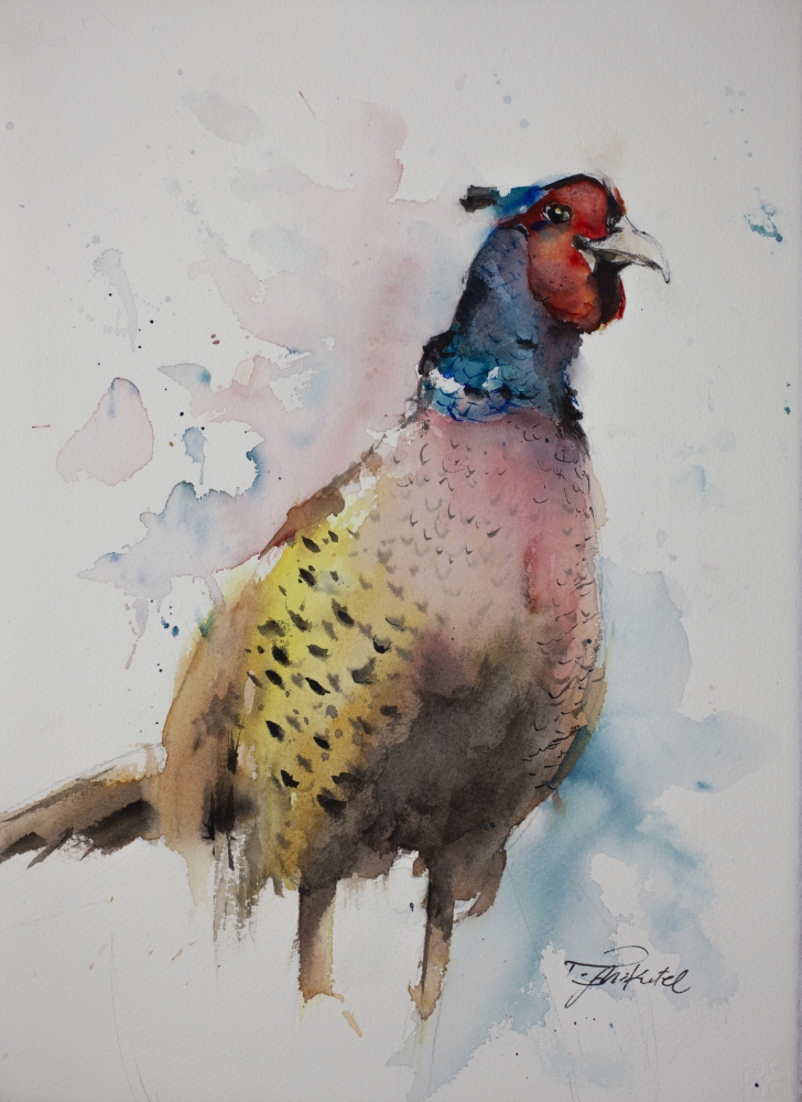 Pheasant II