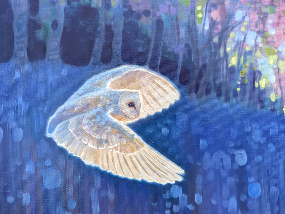 The Owls Haven