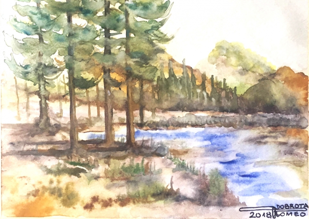 The pond 1, 12x18.75 inch, water colors SKU 4010