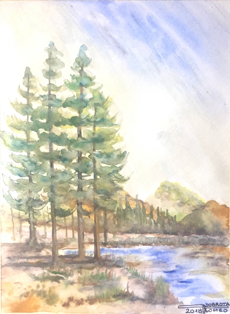 The pond 1, 12x18.75 inch, water colors SKU 4010