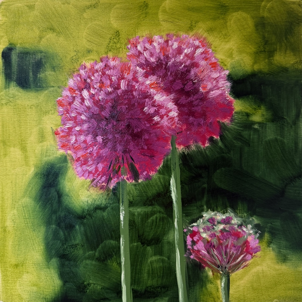 Three Alliums