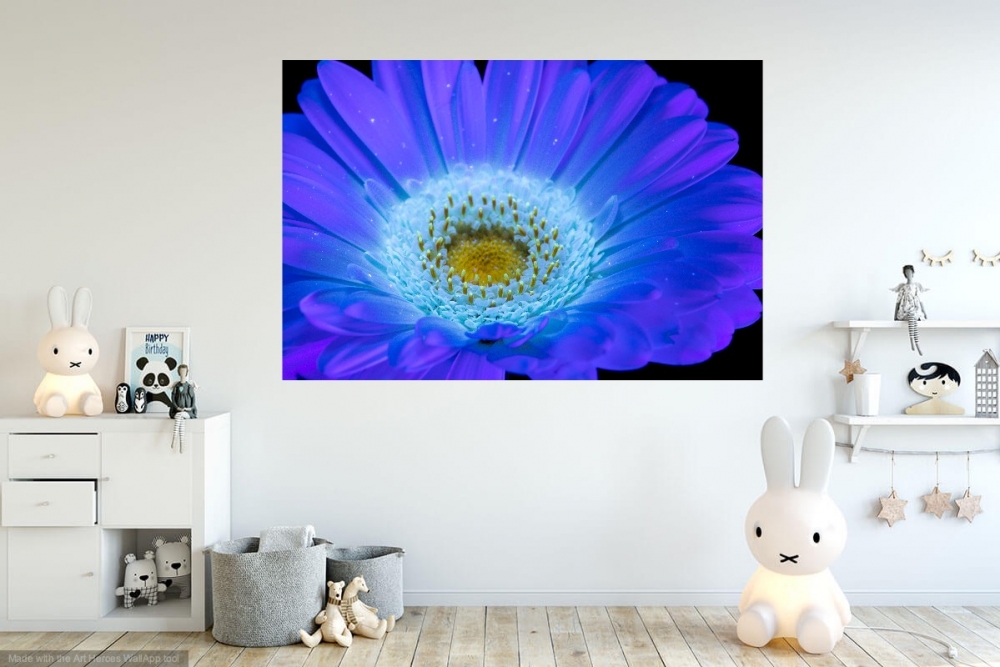 Secret Signals: Gerbera 2