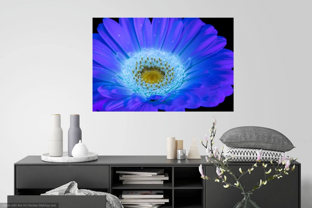 Secret Signals: Gerbera 2