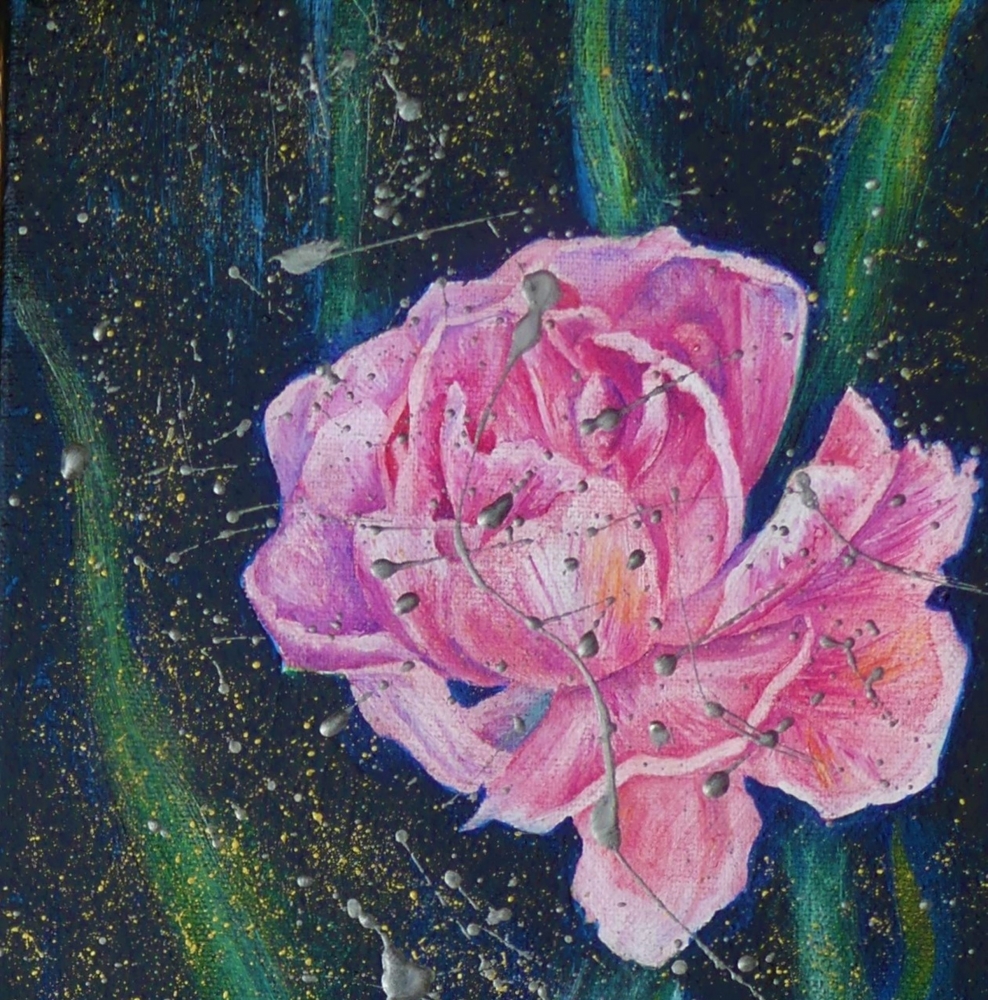 Pink Tulips After Rain