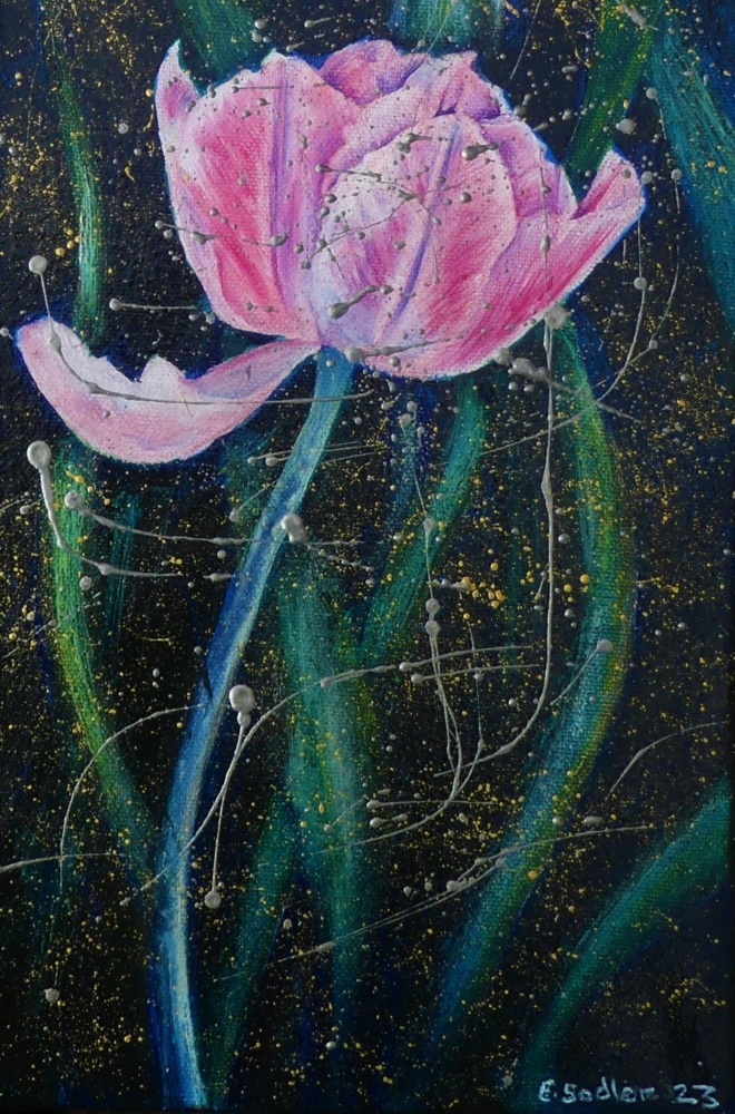 Pink Tulips After Rain