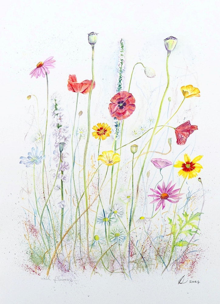 Meadow Wildflowers