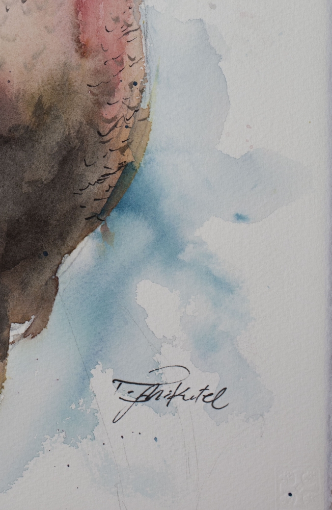 Pheasant II