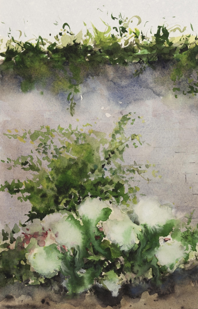 Lamport Hall - The Secret Garden