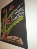 Calla
