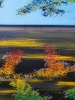 Good morning, good day, good night, acrylic on canvas, modeling paste, 36X36 inch, 90.5x90.5 cm, 3 panels, 12x36 inch. SKU 1100