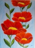 Scarlet Poppies